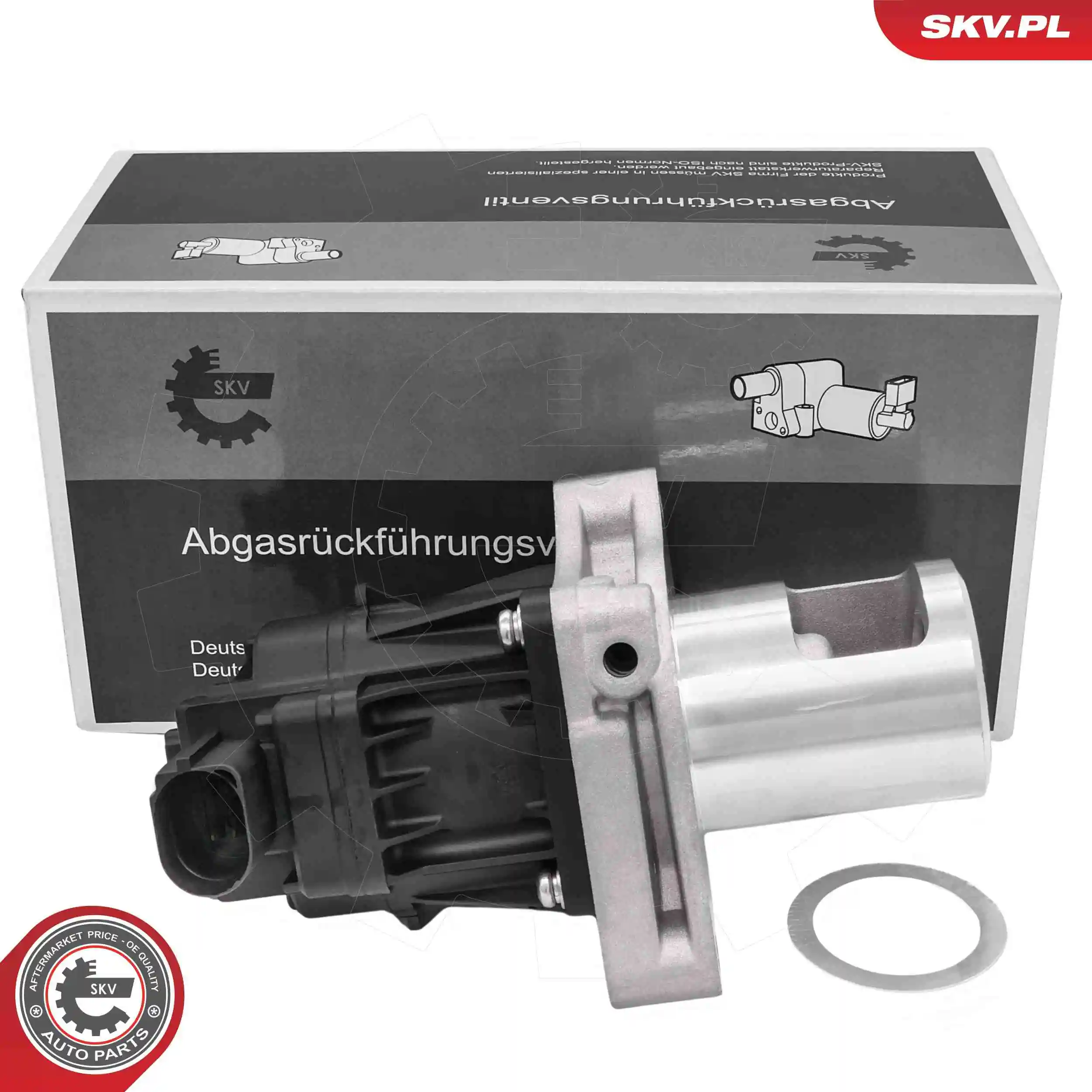 EGR Valve
